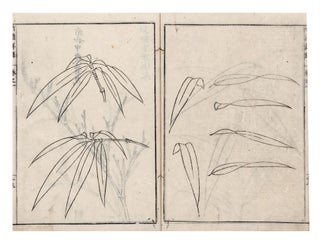 Chikufu shoroku [C.: Zhupu xiang lu; Detailed Treatise on Bamboo Painting].
