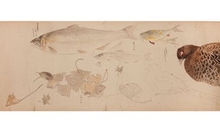 Illustrated handscroll with a collection of fine natural history drawings.