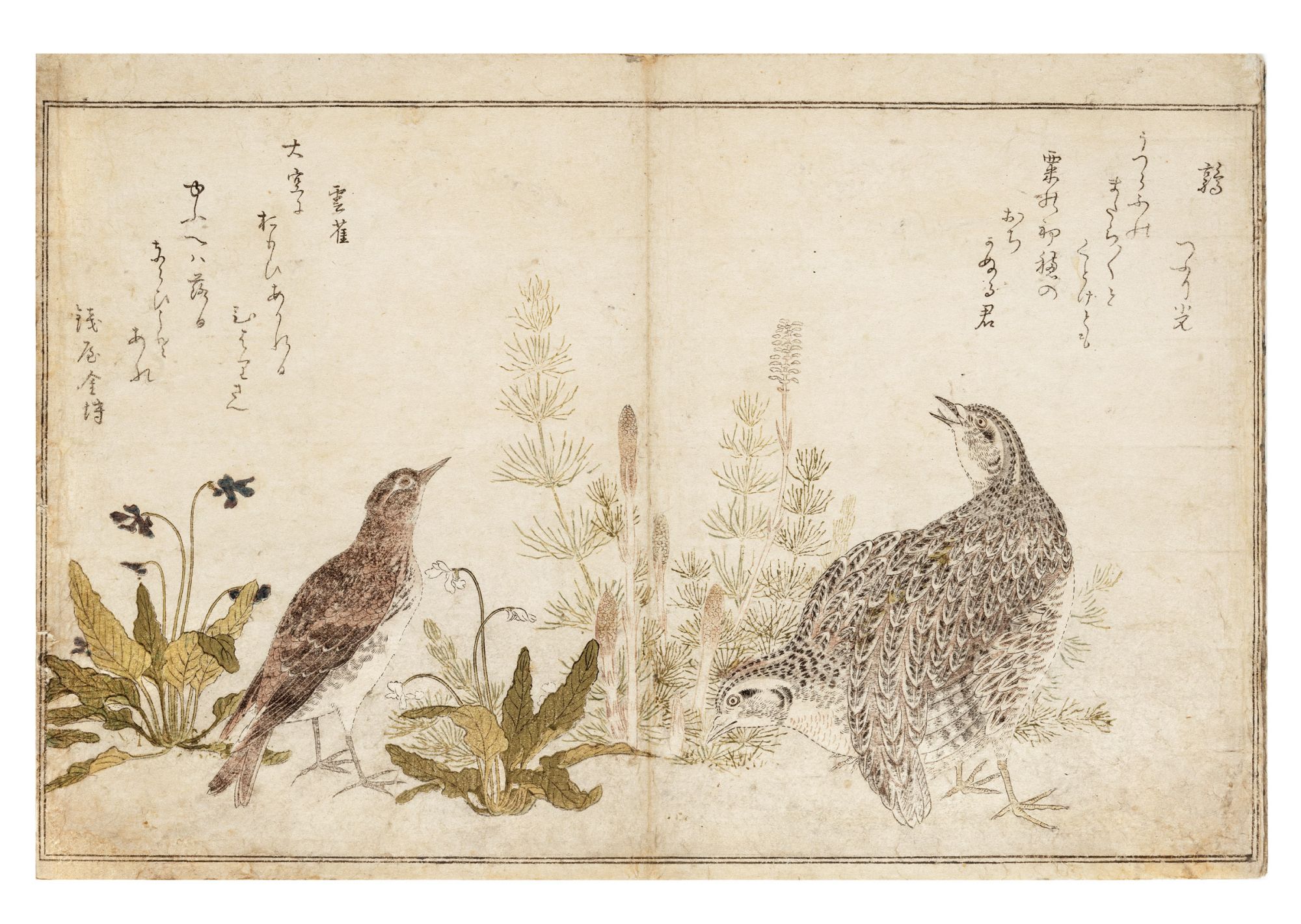 Momo chidori kyoka awase 百千鳥狂歌合 Manifold Birds, A Competition of Kyoka  Poetry by Utamaro 喜多川歌麿 Kitagawa, artist on JONATHAN A. HILL, BOOKSELLER,  INC