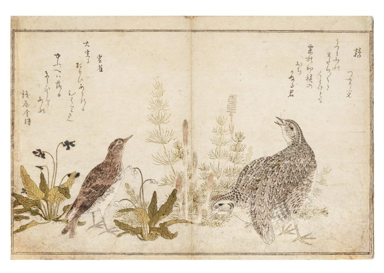 Item ID: 8942 Momo chidori kyoka awase 百千鳥狂歌合 [Manifold Birds, A Competition of Kyoka Poetry]. Utamaro 喜多川歌麿 Kitagawa, artist.
