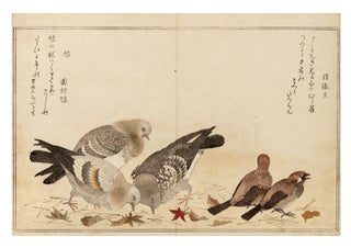 Momo chidori kyoka awase 百千鳥狂歌合 [Manifold Birds, A Competition of Kyoka Poetry].
