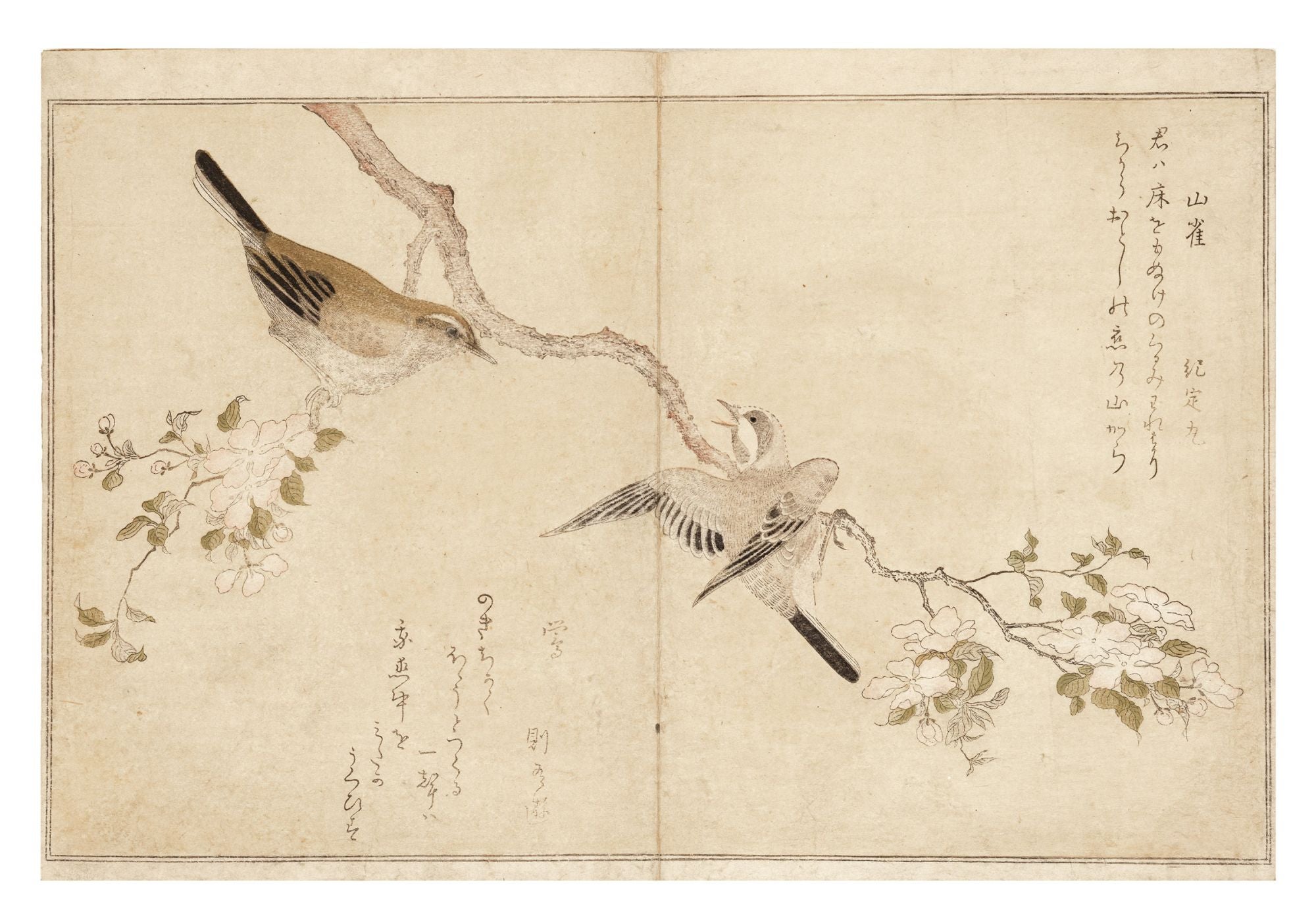 Momo chidori kyoka awase 百千鳥狂歌合 Manifold Birds, A Competition of Kyoka  Poetry by Utamaro 喜多川歌麿 Kitagawa, artist on JONATHAN A. HILL, BOOKSELLER,  INC