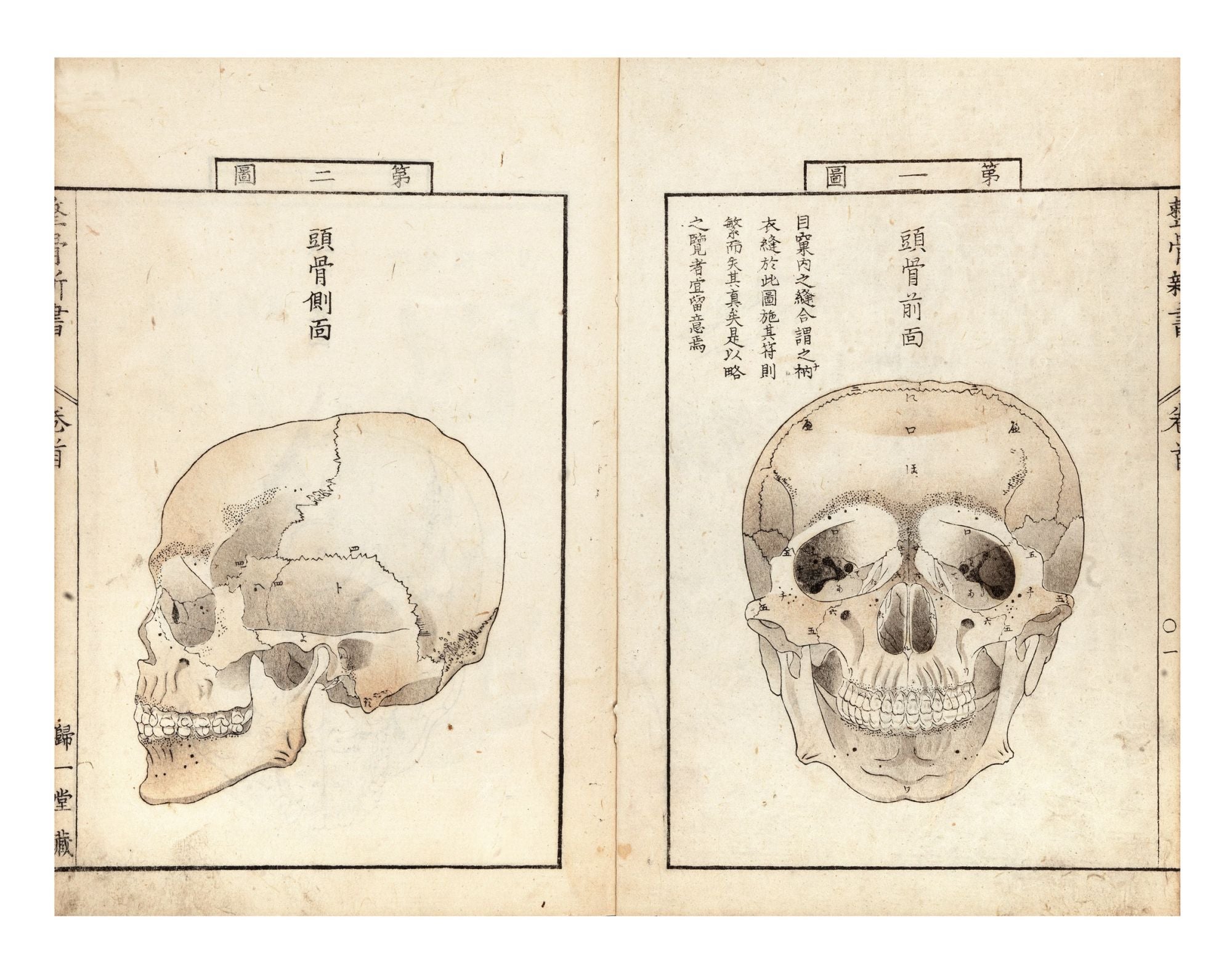 Seikotsu shinsho 整骨新書 New Book on Osteology , complete with atlas entitled  Kakkotsu shinkeizu Every Bone’s Shape Truly Depicted by Bunken 各務文獻 KAGAMI  