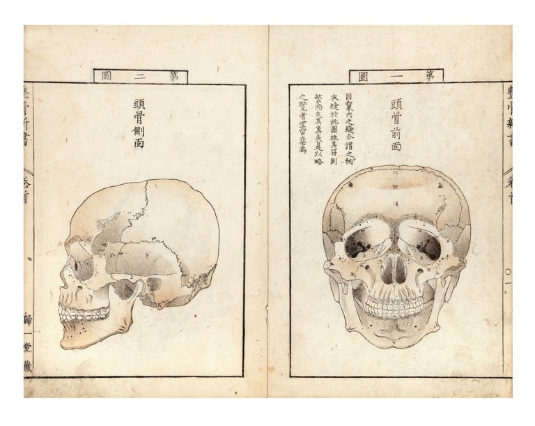 Item ID: 8981 Seikotsu shinsho 整骨新書 [New Book on Osteology], complete with atlas entitled Kakkotsu shinkeizu [Every Bone’s Shape Truly Depicted]. Bunken 各務文獻 KAGAMI.