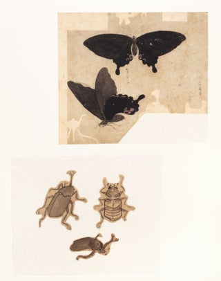 174 sheets of exquisite paintings of insects, using brush, ink, & washes of many colors, well mounted in 29 stiff paper folders of archival quality (each folder 396 x 350 mm. when closed), all preserved in a modern wooden box.