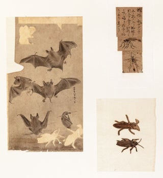 174 sheets of exquisite paintings of insects, using brush, ink, & washes of many colors, well mounted in 29 stiff paper folders of archival quality (each folder 396 x 350 mm. when closed), all preserved in a modern wooden box.
