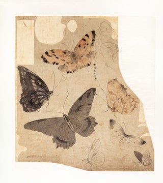 174 sheets of exquisite paintings of insects, using brush, ink, & washes of many colors, well mounted in 29 stiff paper folders of archival quality (each folder 396 x 350 mm. when closed), all preserved in a modern wooden box.
