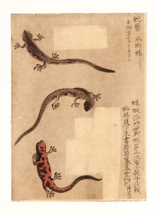 174 sheets of exquisite paintings of insects, using brush, ink, & washes of many colors, well mounted in 29 stiff paper folders of archival quality (each folder 396 x 350 mm. when closed), all preserved in a modern wooden box.