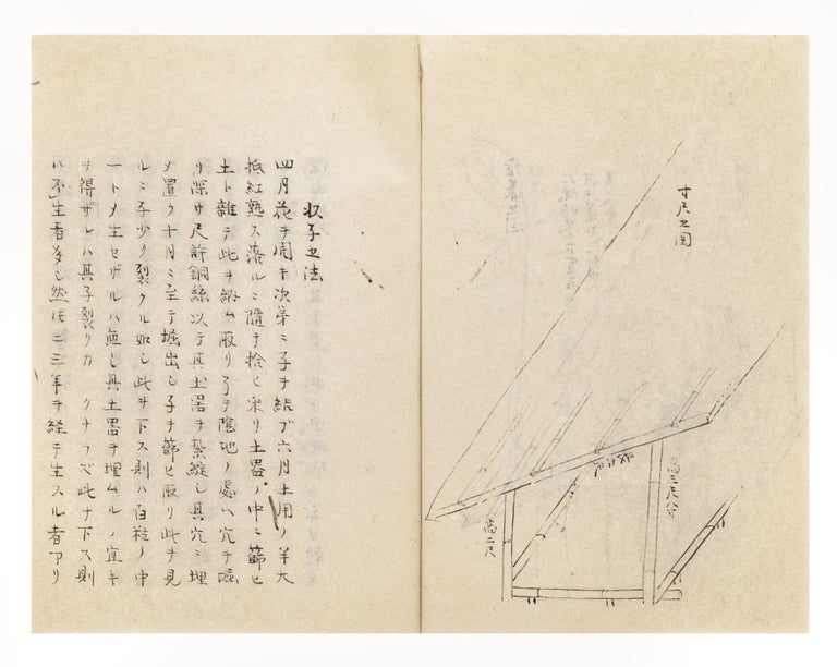 Item ID: 9223 Manuscript on paper, entitled on manuscript label on upper cover “Shinsei...