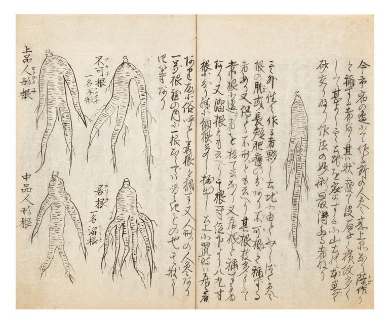 Item ID: 9226 Manuscript on paper, entitled on first leaf of text: “Chosen ninjin kosakuki”...