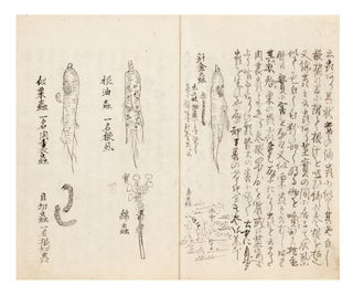Manuscript on paper, entitled on first leaf of text: “Chosen ninjin kosakuki” [“How to Cultivate Ginseng”].