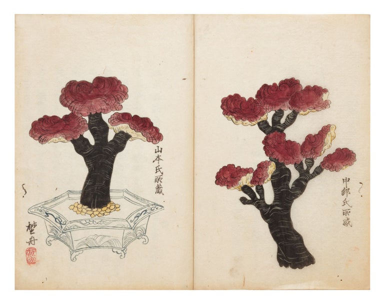 Item ID: 9290 Manuscript on paper, entitled on first leaf “Sakikusa ko” [“Thoughts about the Reishi Mushroom”]. Kan’o SUIGETSU, pen-name SUIGETSU SHONIN.