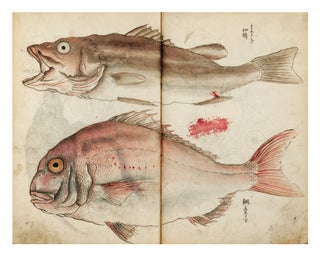 Two albums of drawings by Tsubaki Chinzan, containing more than 500 brush & ink drawings, TSUBAKI CHINZAN 椿 椿山, or.