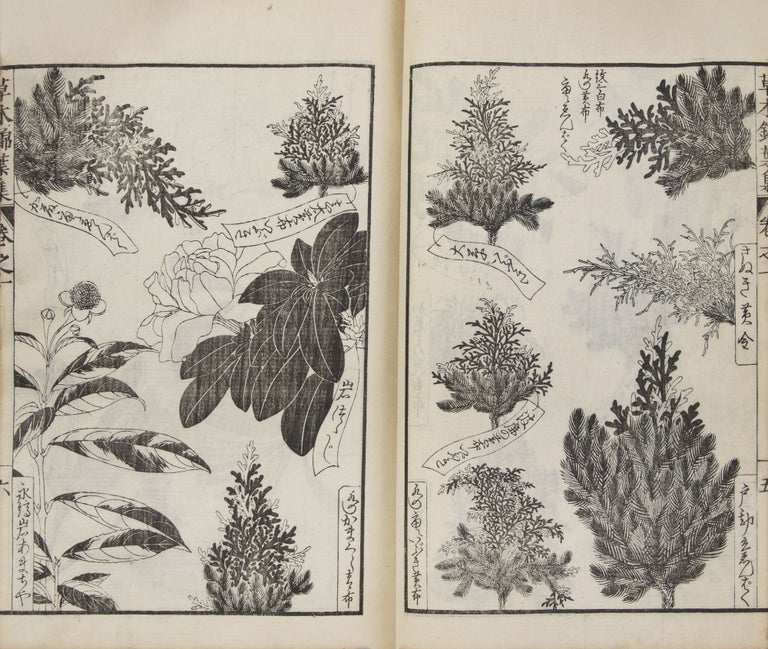 Item ID: 9834 Sōmoku kin’yōshū 草木錦葉集 [Brocade-Leaf Collection of Plants...