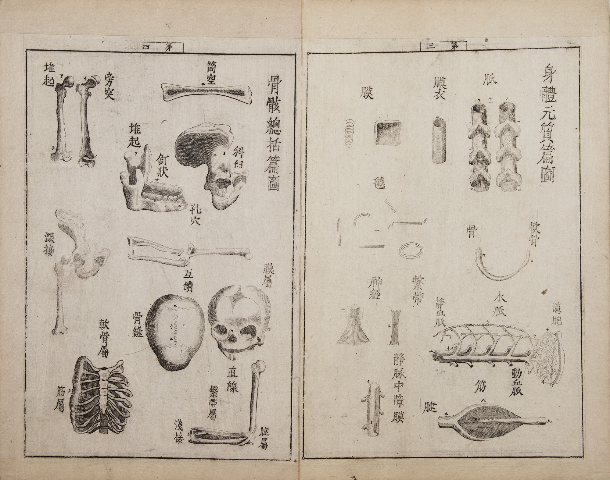 Jūtei kaitai shinsho 重訂解體新書 Revised Edition of a New Book of Anatomy by  Genpaku 杉田玄白 SUGITA on JONATHAN A. HILL, BOOKSELLER, INC