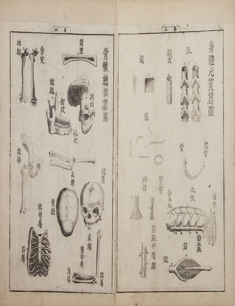 Item ID: 9836 Jūtei kaitai shinsho 重訂解體新書 [Revised Edition of a New Book...