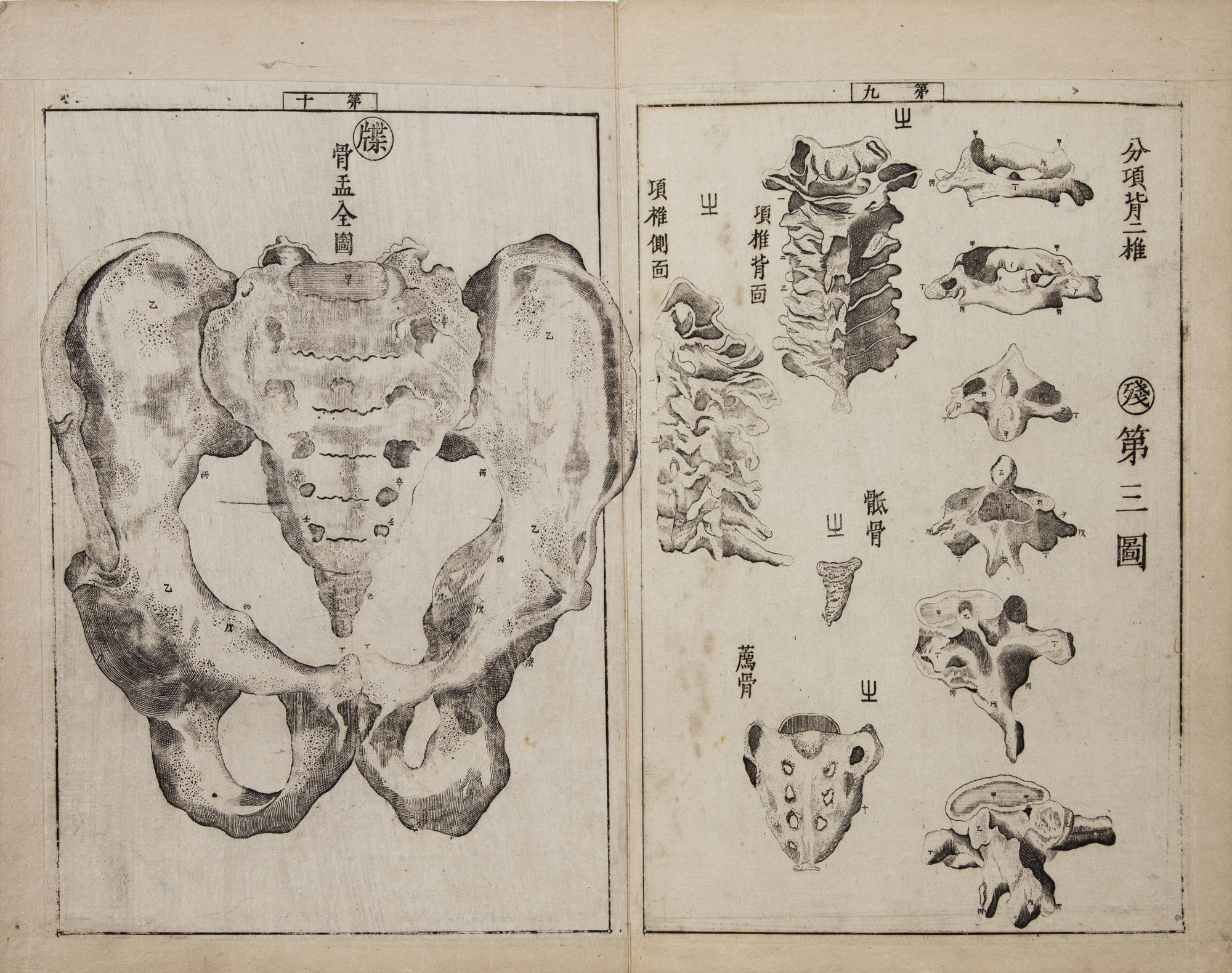 Jūtei kaitai shinsho 重訂解體新書 Revised Edition of a New Book of Anatomy by  Genpaku 杉田玄白 SUGITA on JONATHAN A. HILL, BOOKSELLER, INC