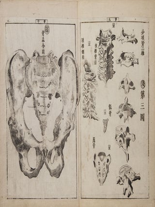 Jūtei kaitai shinsho 重訂解體新書 [Revised Edition of a New Book of Anatomy].