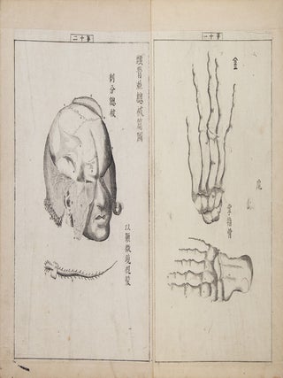 Jūtei kaitai shinsho 重訂解體新書 [Revised Edition of a New Book of Anatomy].