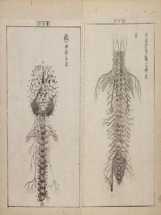 Jūtei kaitai shinsho 重訂解體新書 [Revised Edition of a New Book of Anatomy].