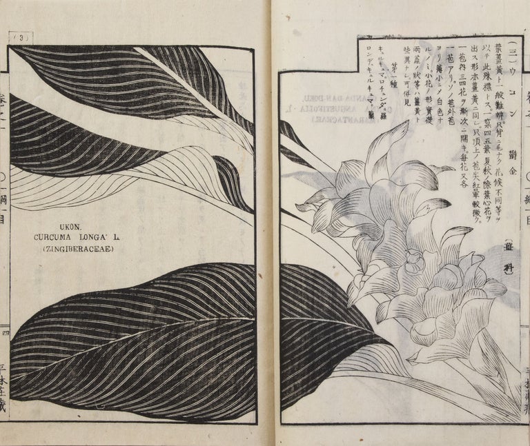 Item ID: 9959 Sōmoku zusetsu 草木圖說 [Plants & Trees, Illustrated &...