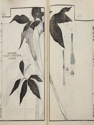 Sōmoku zusetsu 草木圖說 [Plants & Trees, Illustrated & Explained]; from labels on upper covers: Shintei Sōmoku zusetsu 新訂草木圖說.