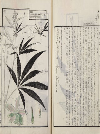 Sōmoku zusetsu 草木圖說 [Plants & Trees, Illustrated & Explained]; from labels on upper covers: Shintei Sōmoku zusetsu 新訂草木圖說.