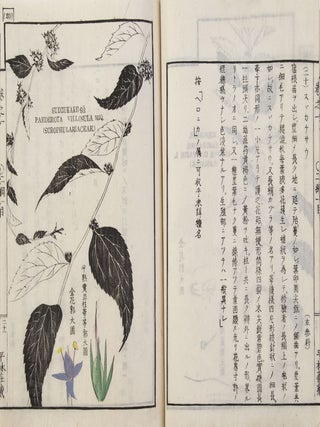 Sōmoku zusetsu 草木圖說 [Plants & Trees, Illustrated & Explained]; from labels on upper covers: Shintei Sōmoku zusetsu 新訂草木圖說.