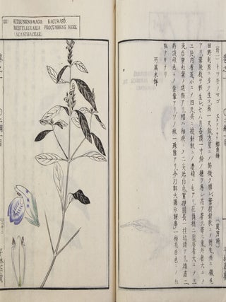 Sōmoku zusetsu 草木圖說 [Plants & Trees, Illustrated & Explained]; from labels on upper covers: Shintei Sōmoku zusetsu 新訂草木圖說.