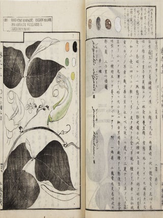 Sōmoku zusetsu 草木圖說 [Plants & Trees, Illustrated & Explained]; from labels on upper covers: Shintei Sōmoku zusetsu 新訂草木圖說.
