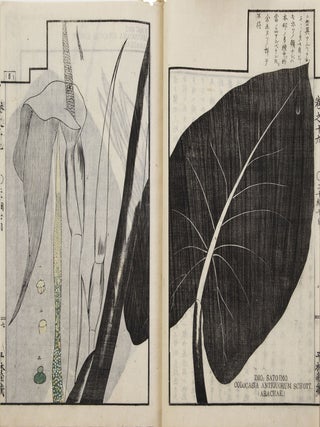Sōmoku zusetsu 草木圖說 [Plants & Trees, Illustrated & Explained]; from labels on upper covers: Shintei Sōmoku zusetsu 新訂草木圖說.