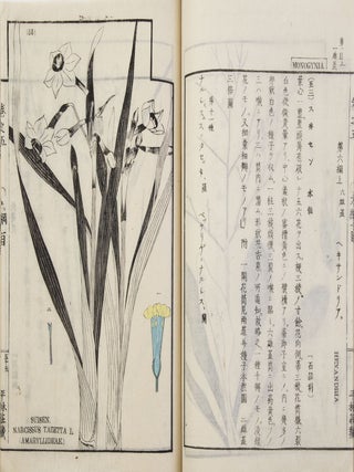 Sōmoku zusetsu 草木圖說 [Plants & Trees, Illustrated & Explained]; from labels on upper covers: Shintei Sōmoku zusetsu 新訂草木圖說.