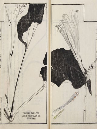 Sōmoku zusetsu 草木圖說 [Plants & Trees, Illustrated & Explained]; from labels on upper covers: Shintei Sōmoku zusetsu 新訂草木圖說.