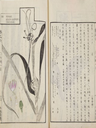 Sōmoku zusetsu 草木圖說 [Plants & Trees, Illustrated & Explained]; from labels on upper covers: Shintei Sōmoku zusetsu 新訂草木圖說.