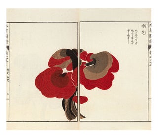 Honzō zufu 本草圖譜 [Illustrated Materia Medica. Kan’en 岩崎灌園 IWASAKI, or Tsunemasa.
