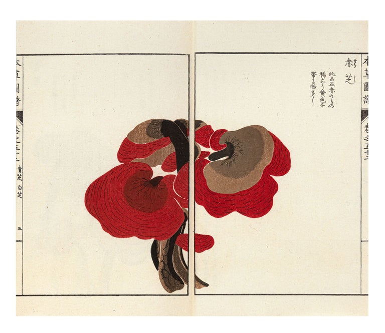 Item ID: 9992 Honzō zufu 本草圖譜 [Illustrated Materia Medica]. Kan’en...