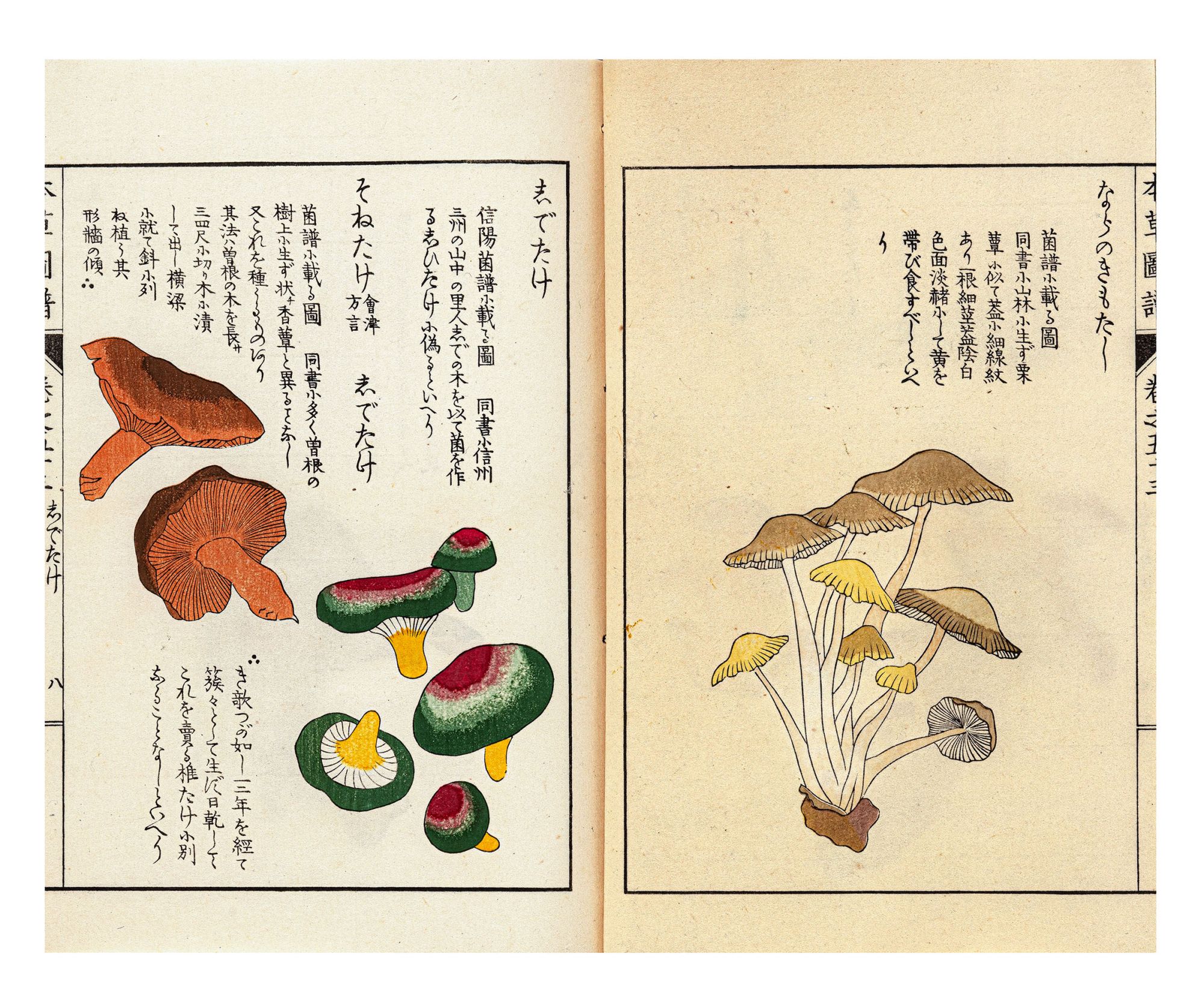 Honzō zufu 本草圖譜 Illustrated Materia Medica by Kan’en 岩崎灌園 IWASAKI, or  Tsunemasa or Genzo on JONATHAN A. HILL, BOOKSELLER, INC